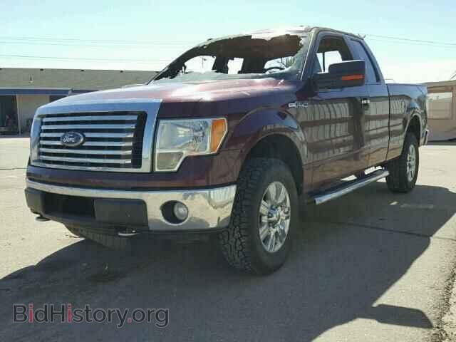 2010 FORD F150 - VIN: 1FTFX1EV7AFD18678 - Фото 2