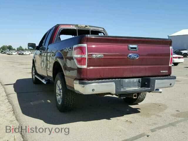 2010 FORD F150 - VIN: 1FTFX1EV7AFD18678 - Фото 3