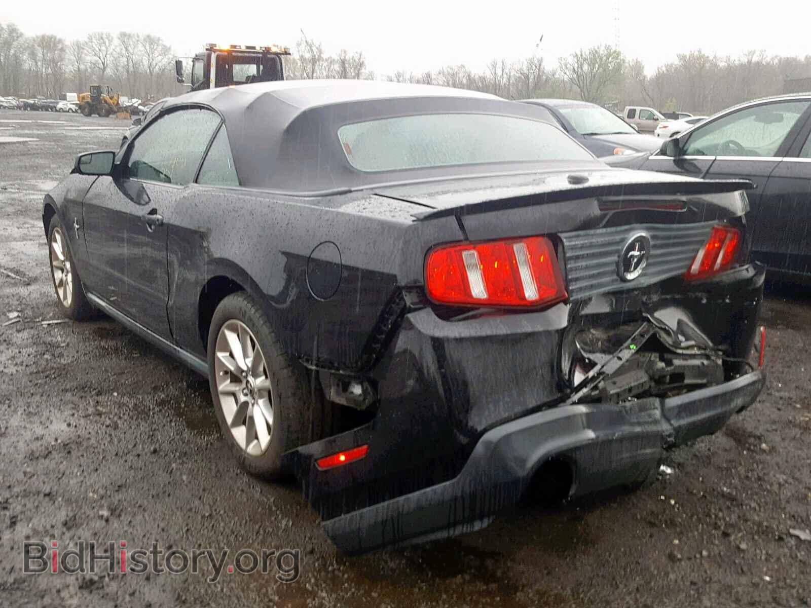 2011 FORD MUSTANG - VIN: 1ZVBP8EM2B5123493 - Фото 3