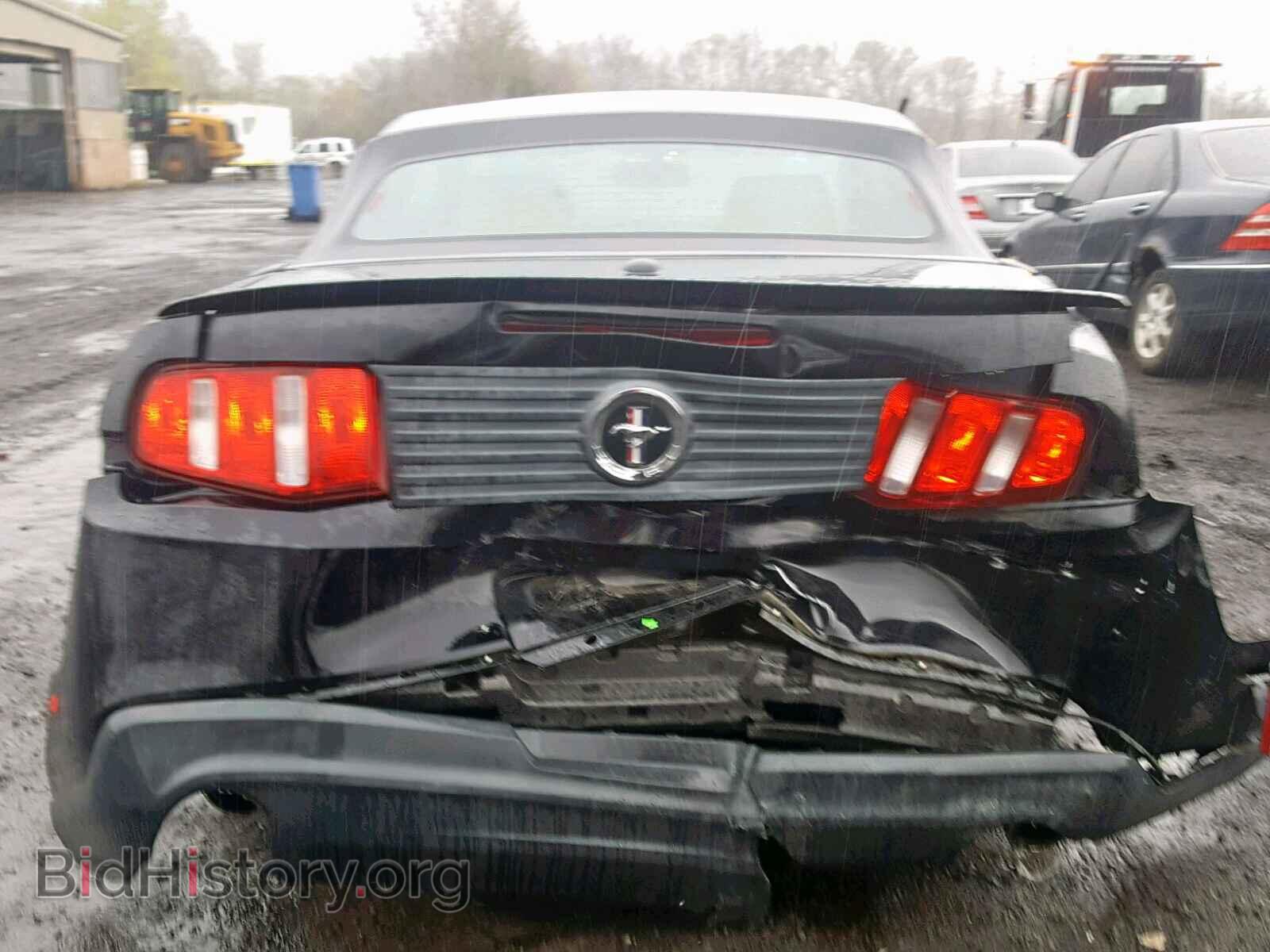 2011 FORD MUSTANG - VIN: 1ZVBP8EM2B5123493 - Фото 9