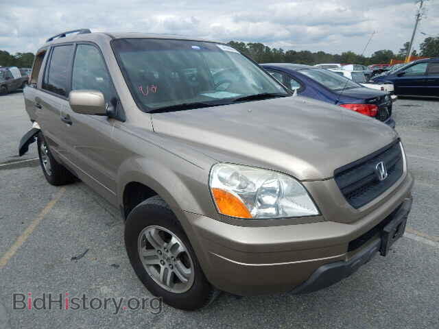 Фотография 5FNYF18565B005185 - HONDA PILOT 2005