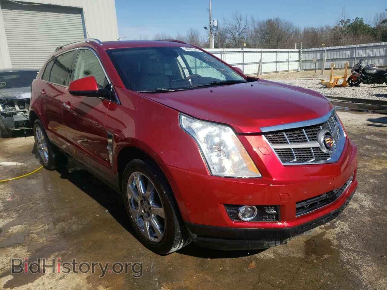 Фотография 3GYFNCEY1AS534396 - CADILLAC SRX 2010