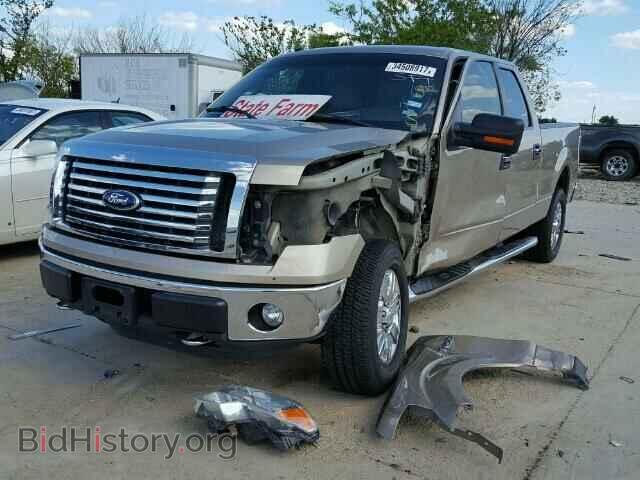2011 FORD F150 - VIN: 1FTFW1EF1BFA40924 - Фото 2