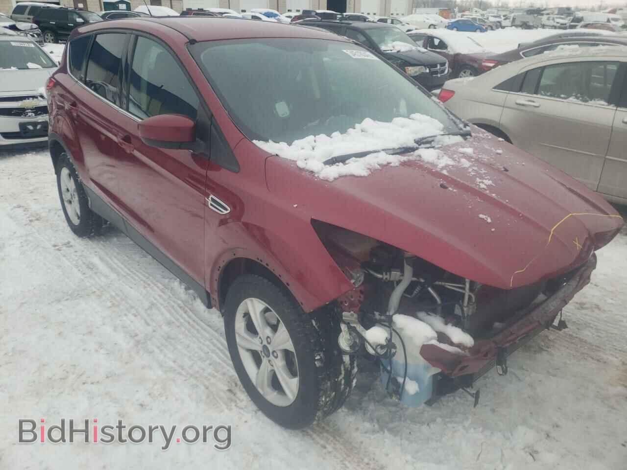 Фотография 1FMCU0GX9EUC58596 - FORD ESCAPE 2014