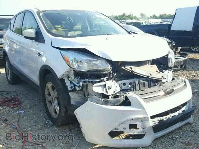 Фотография 1FMCU0GX0EUE25606 - FORD ESCAPE 2014