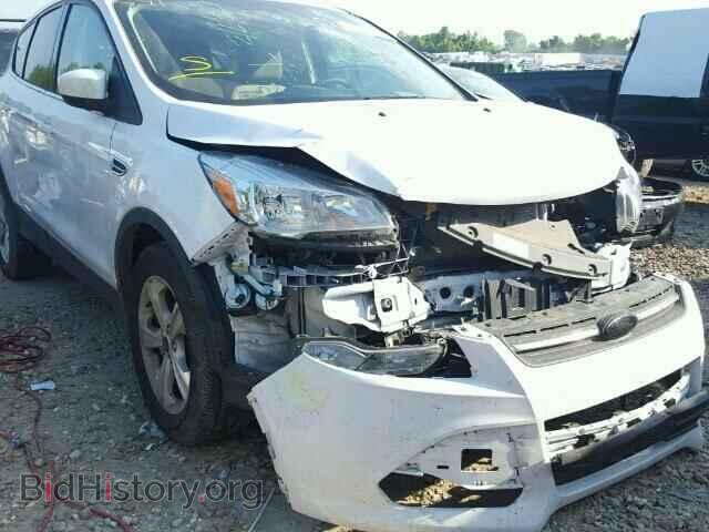2014 FORD ESCAPE - VIN: 1FMCU0GX0EUE25606 - Фото 9
