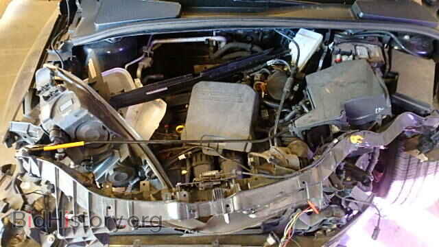 2014 FORD FOCUS - VIN: 1FADP3F21EL224445 - Фото 7