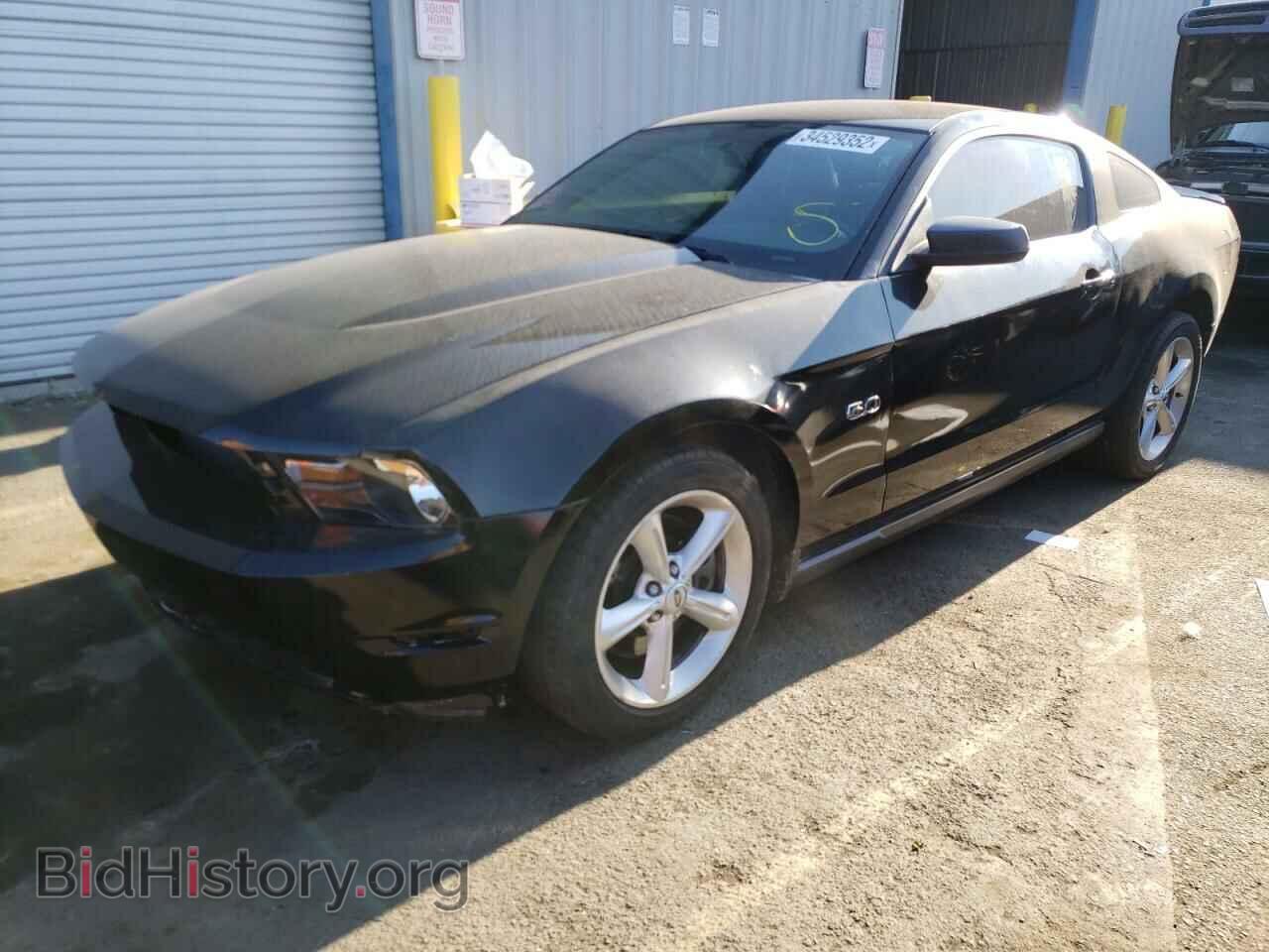 2012 FORD MUSTANG - VIN: 1ZVBP8CF4C5240840 - Фото 2