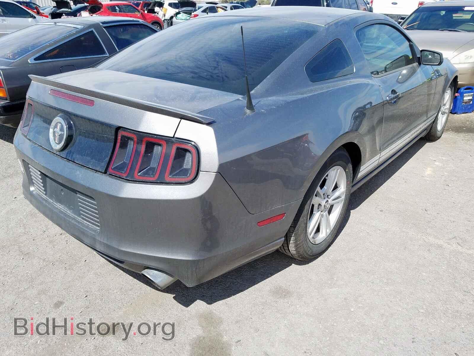 2013 FORD MUSTANG - VIN: 1ZVBP8AM2D5259468 - Фото 4