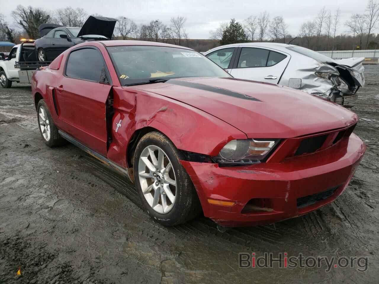 Photo 1ZVBP8AN6A5153142 - FORD MUSTANG 2010