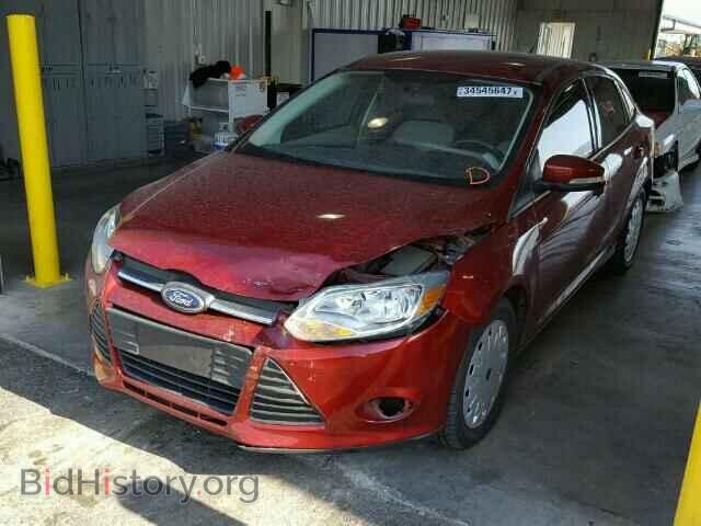 2013 FORD FOCUS - VIN: 1FADP3F24DL211039 - Фото 2