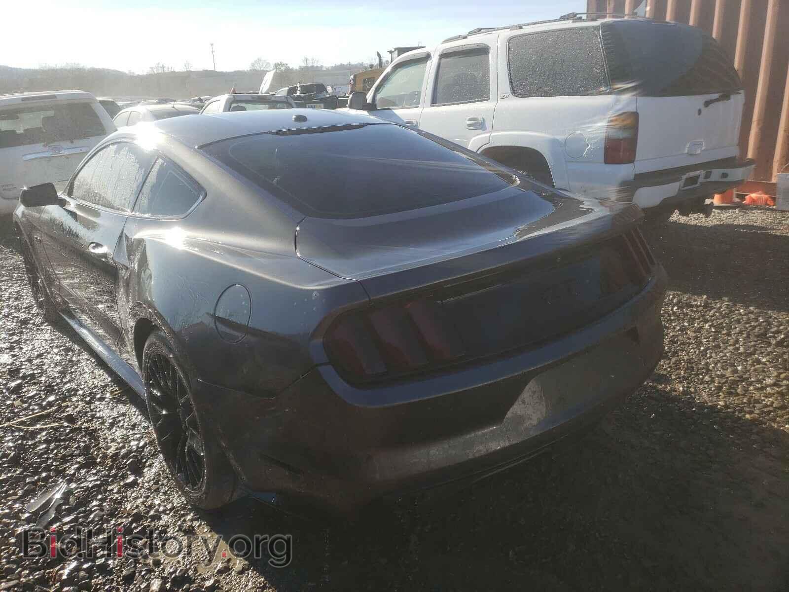 2015 FORD MUSTANG - VIN: 1FA6P8CF4F5316782 - Фото 3