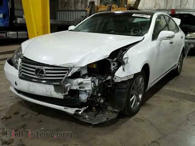 2011 LEXUS ES350 - VIN: JTHBK1EG9B2461816 - Фото 2