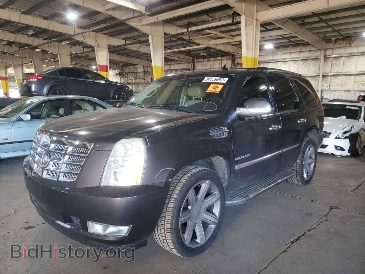 2010 CADILLAC ESCALADE - VIN: 1GYUKBEF3AR104865 - Фото 2
