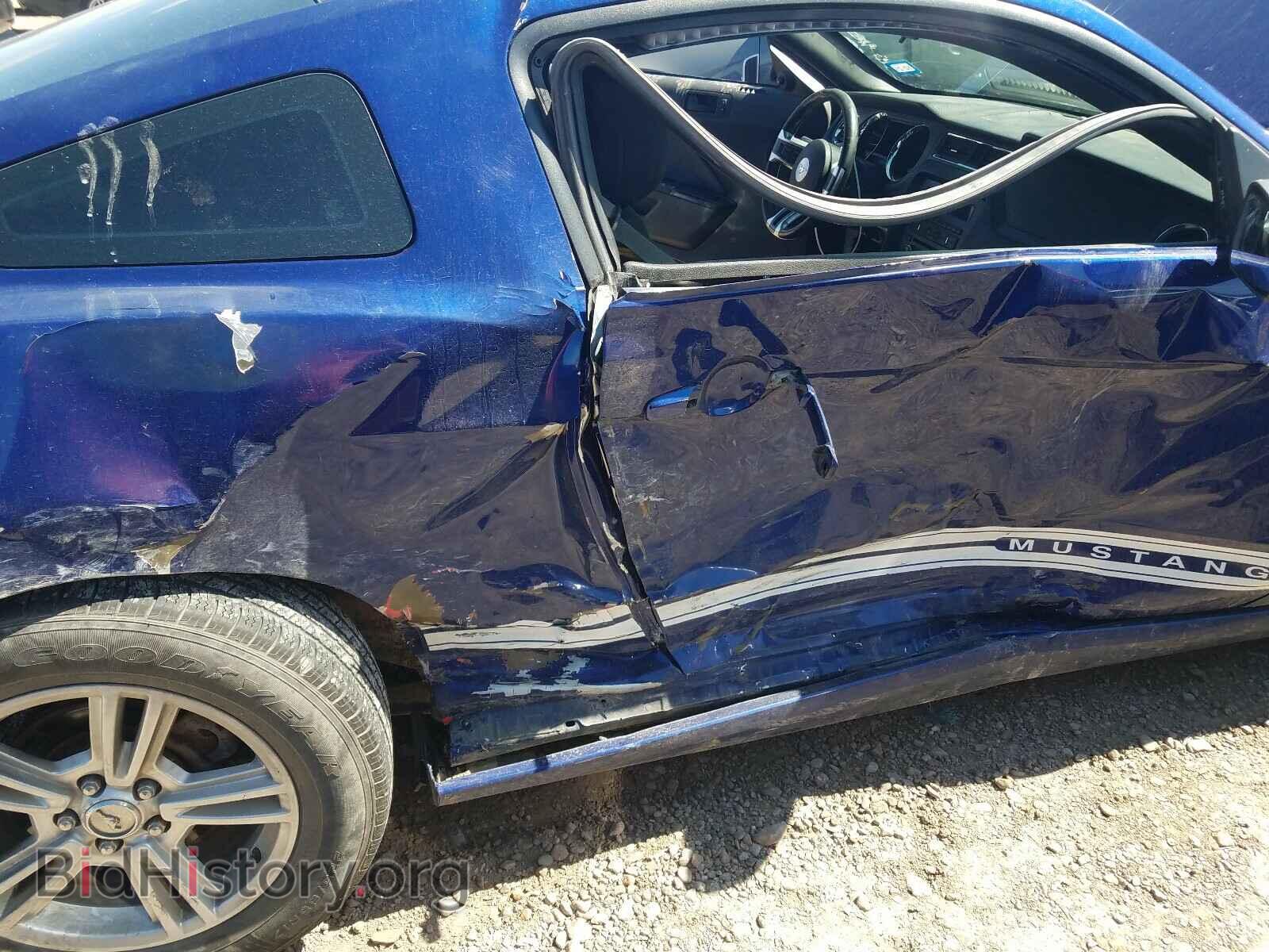 2013 FORD MUSTANG - VIN: 1ZVBP8AM5D5259156 - Фото 9