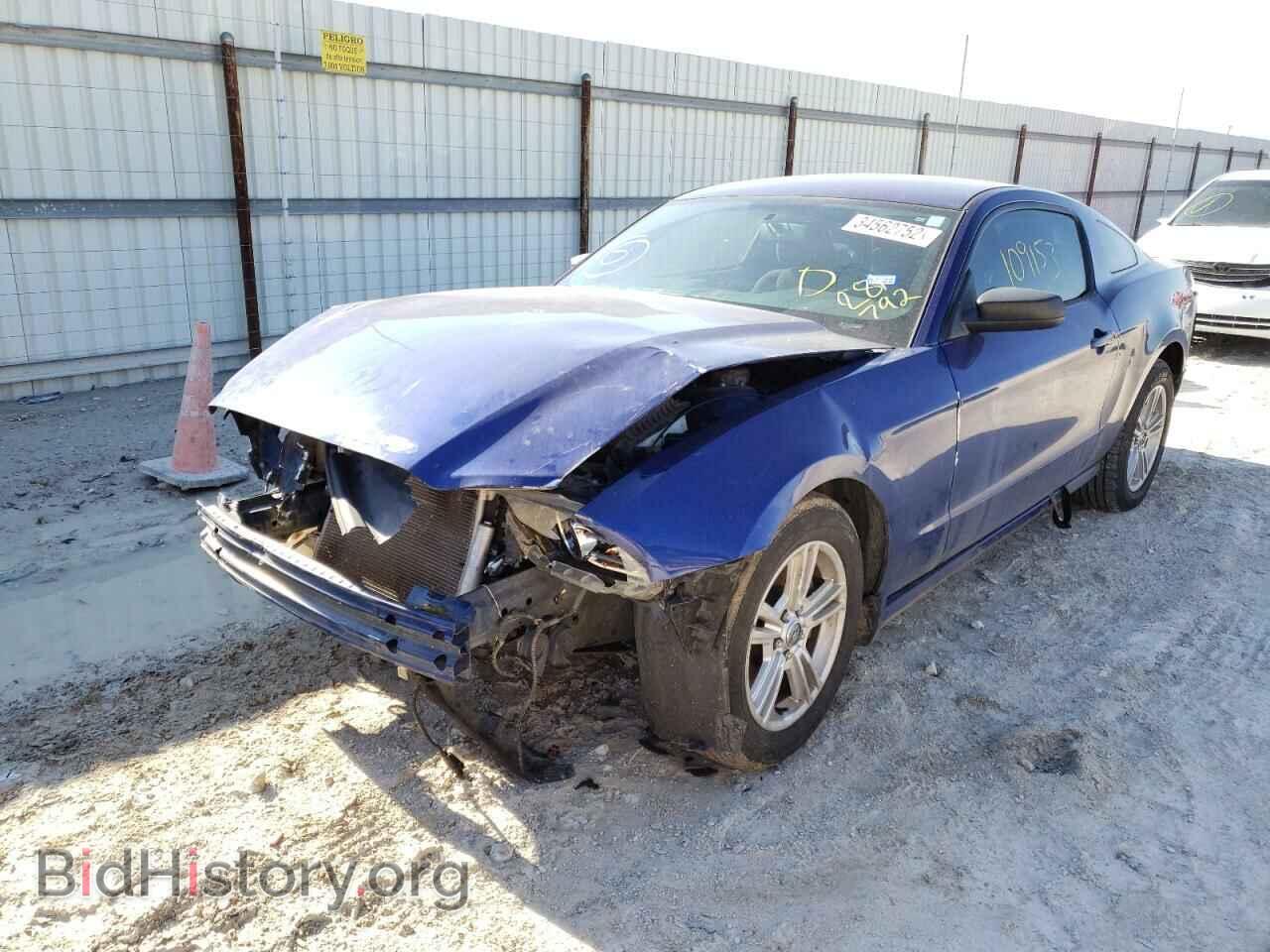 2013 FORD MUSTANG - VIN: 1ZVBP8AM0D5281792 - Фото 2