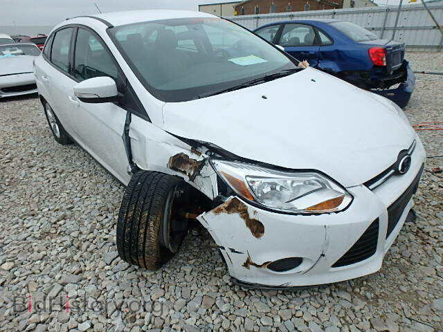 Photo 1FADP3F2XEL310577 - FORD FOCUS 2014