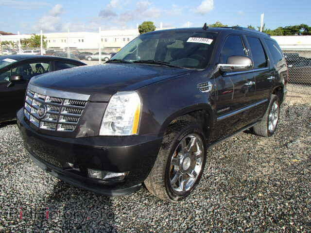 2010 CADILLAC ESCALADE - VIN: 1GYUCCEF4AR252171 - Фото 2