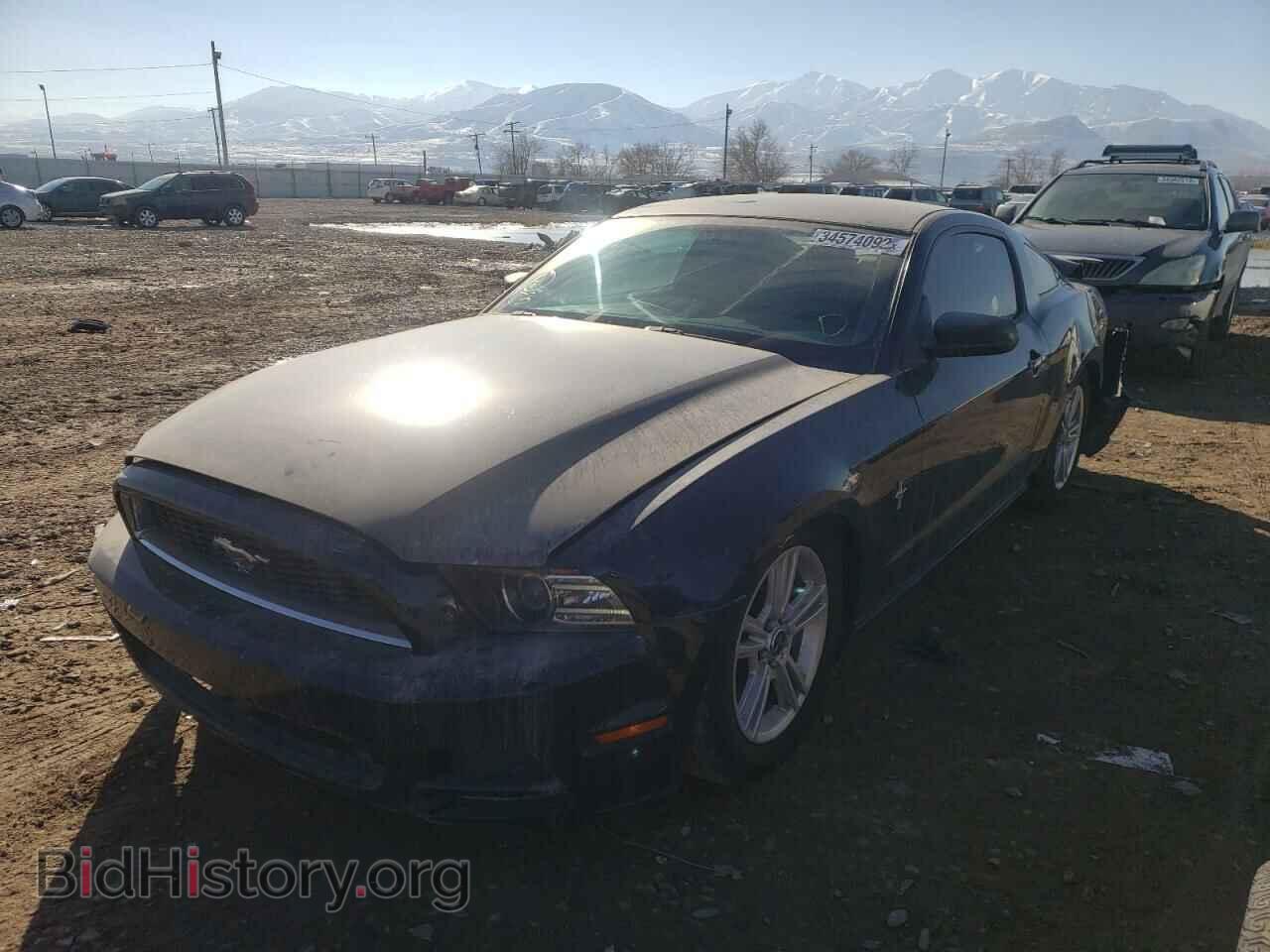2013 FORD MUSTANG - VIN: 1ZVBP8AM7D5280977 - Фото 2