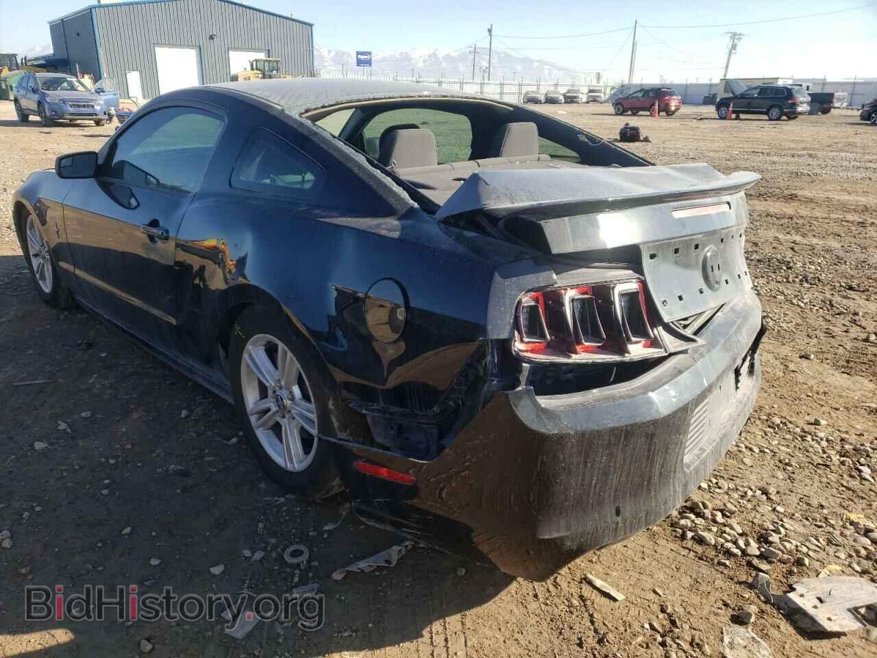 2013 FORD MUSTANG - VIN: 1ZVBP8AM7D5280977 - Фото 3