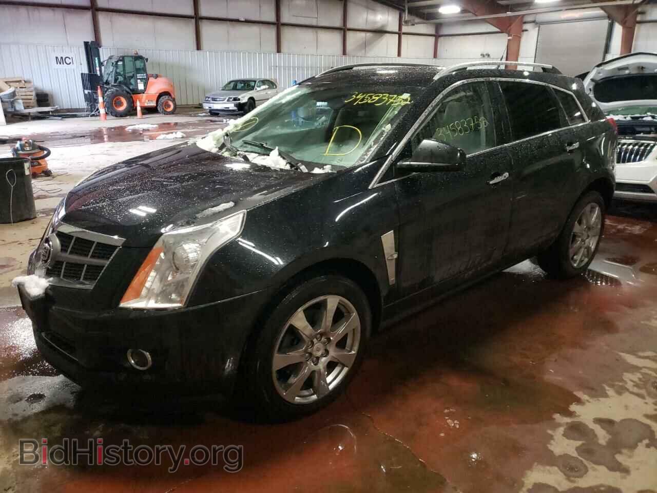 2011 CADILLAC SRX - VIN: 3GYFNCEYXBS509062 - Фото 2