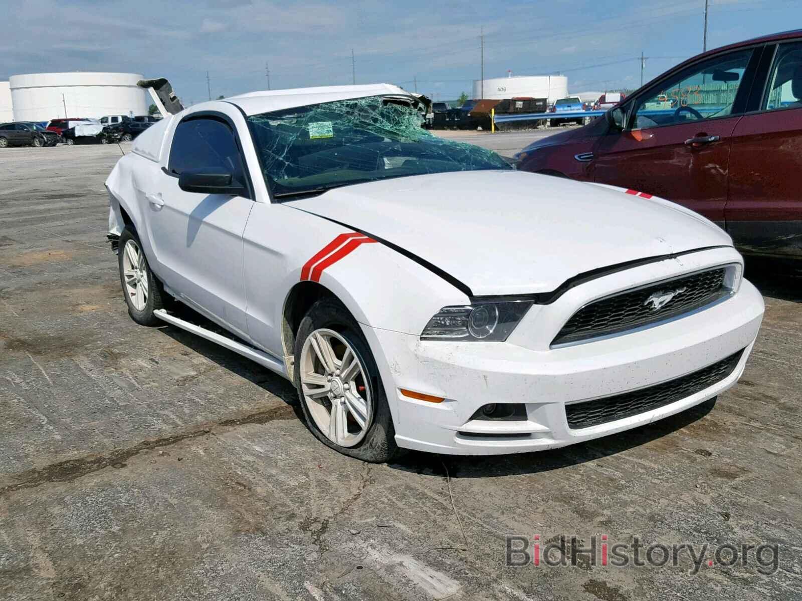 Photo 1ZVBP8AM6E5212543 - FORD MUSTANG 2014