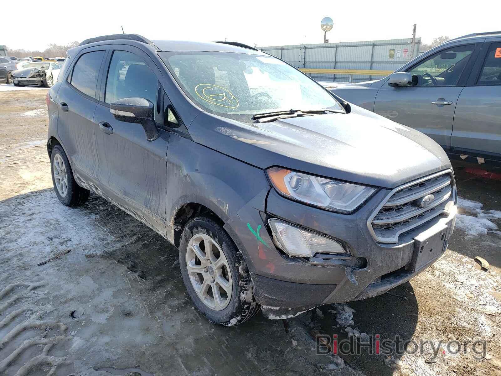 Photo MAJ3S2GE3KC308209 - FORD ALL OTHER 2019