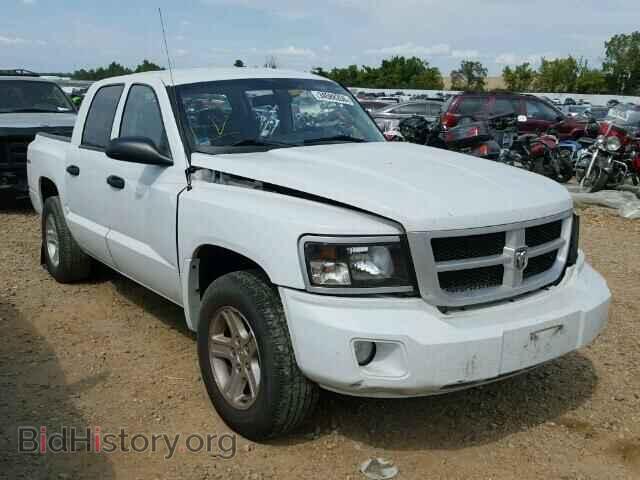 Photo 1D7RW3GK2BS685257 - DODGE DAKOTA 2011