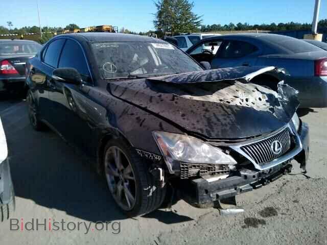 Фотография JTHBF5C2XA5109022 - LEXUS IS250 2010