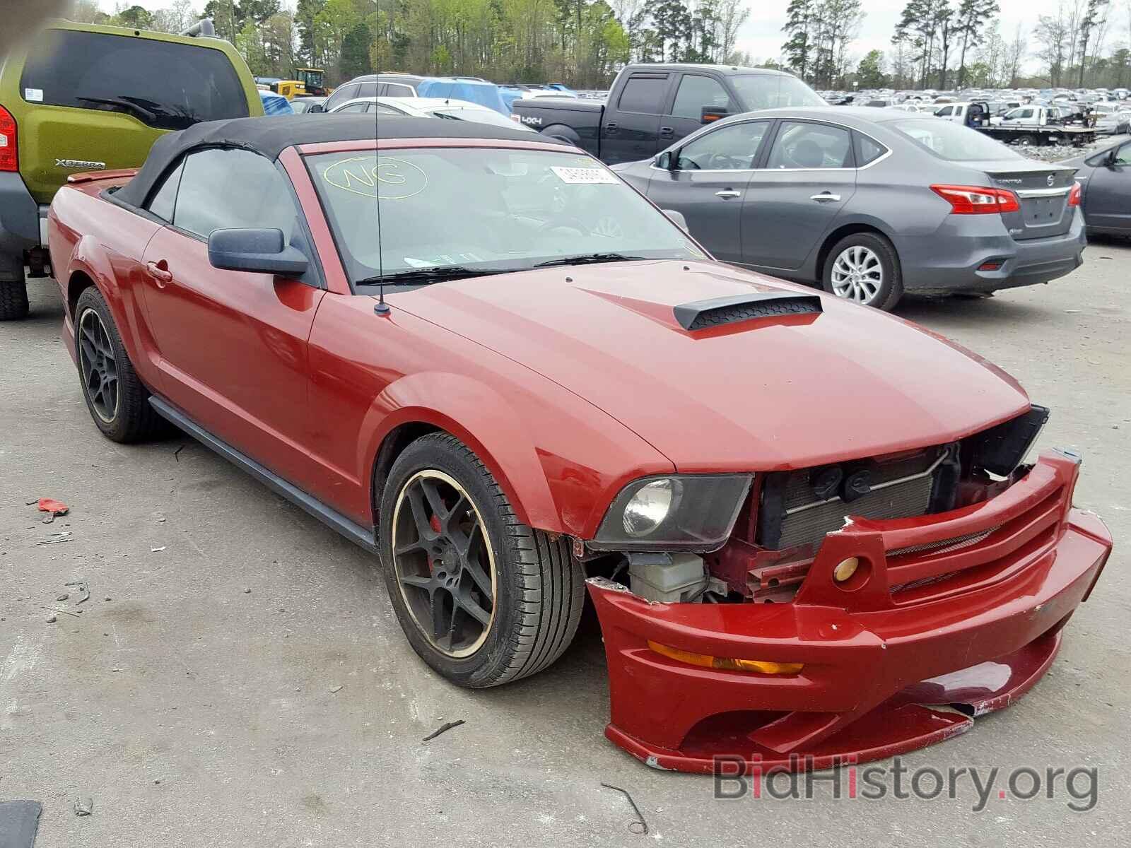 Photo 1ZVHT84N085152001 - FORD MUSTANG 2008