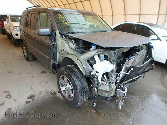 Фотография 5FNYF3H84AB007100 - HONDA PILOT 2010