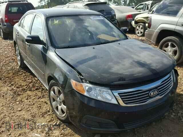 Фотография KNAGG4A80A5444194 - KIA OPTIMA 2010