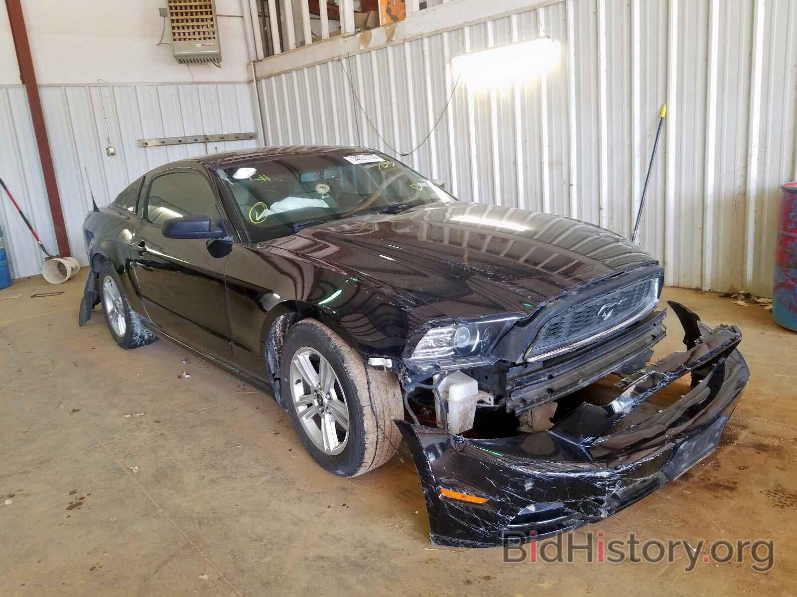 Photo 1ZVBP8AM1E5217293 - FORD MUSTANG 2014