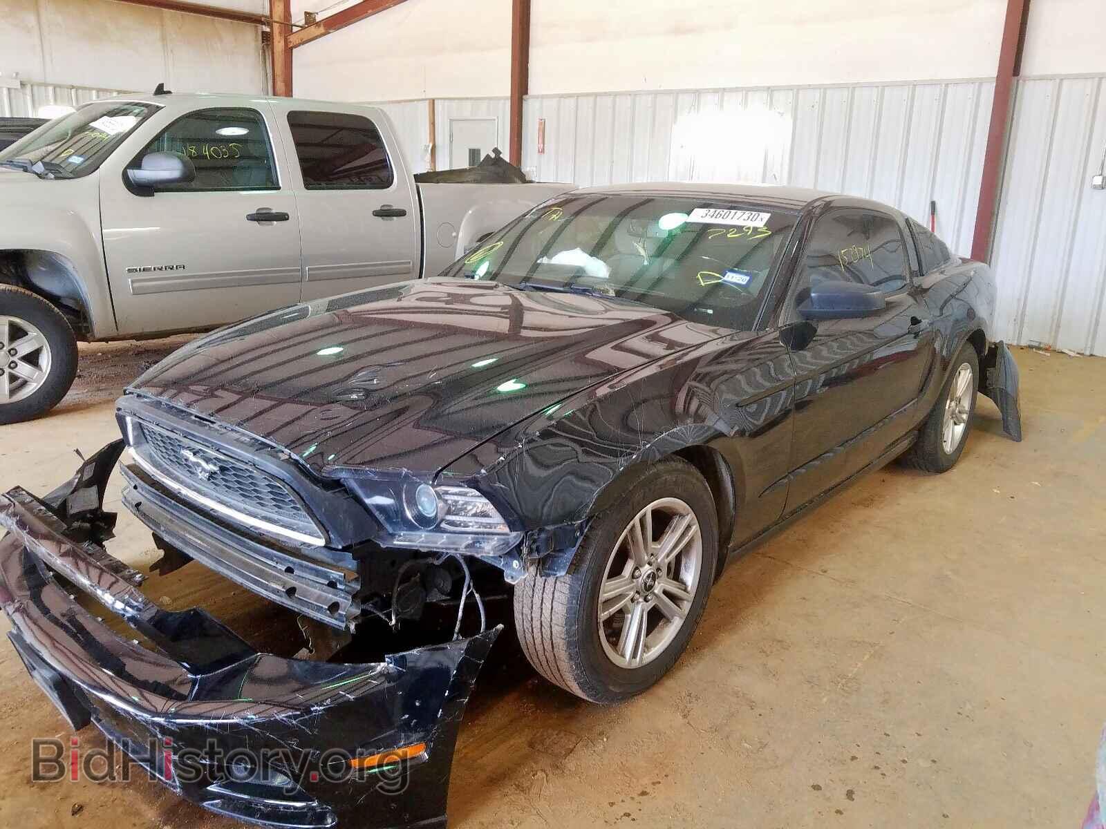 2014 FORD MUSTANG - VIN: 1ZVBP8AM1E5217293 - Фото 2