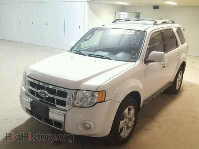 2011 FORD ESCAPE - VIN: 1FMCU9EG4BKC46919 - Фото 2