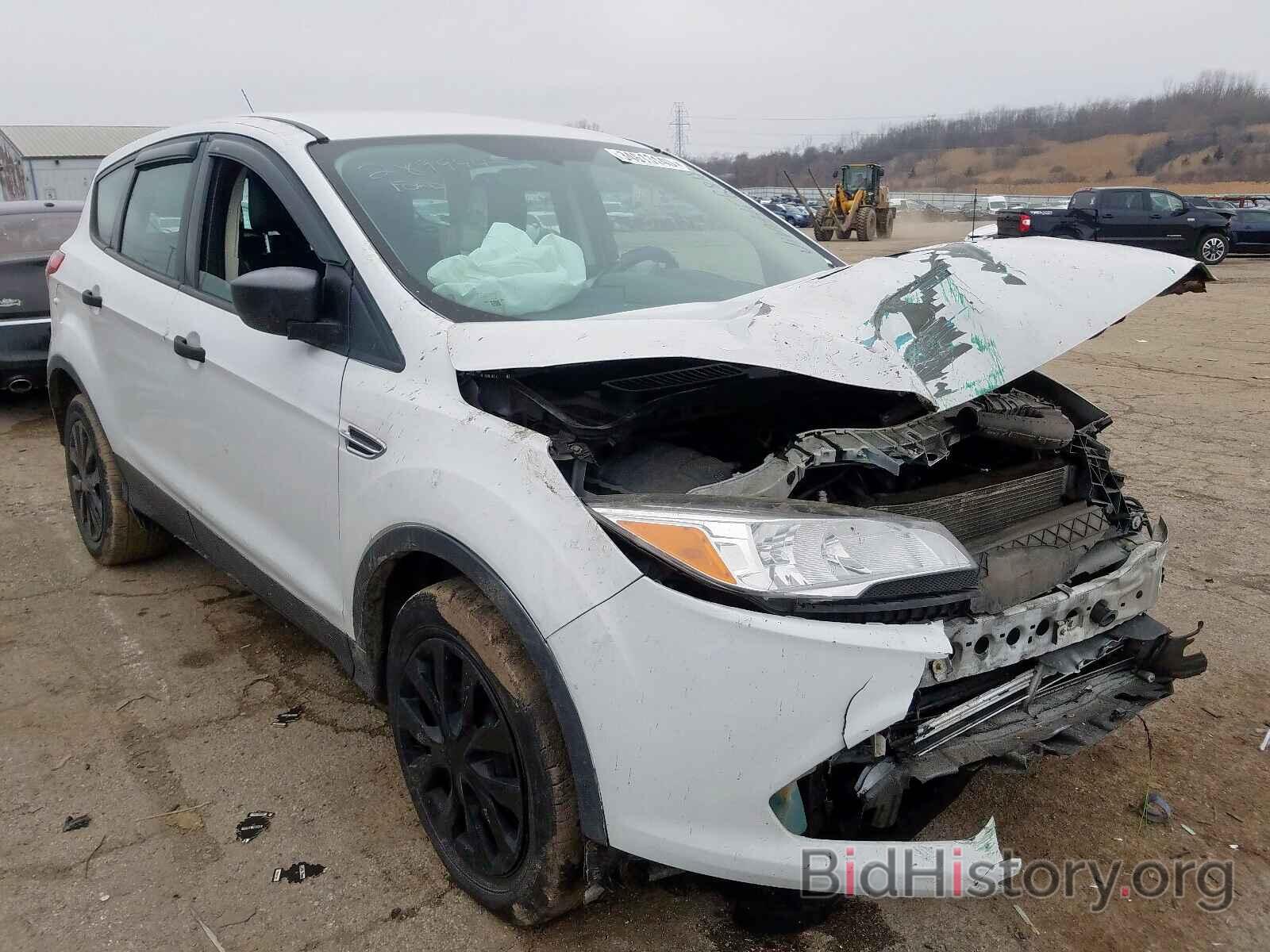 Photo 1FMCU0F73DUC68184 - FORD ESCAPE 2013