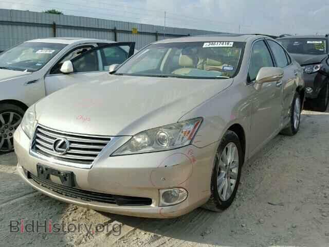 2010 LEXUS ES350 - VIN: JTHBK1EG7A2354116 - Фото 2
