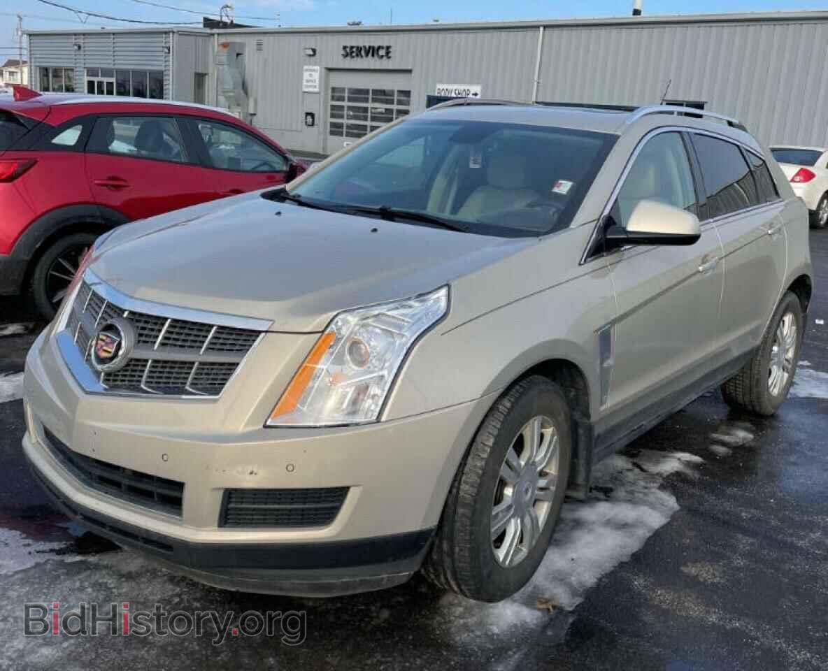 2011 CADILLAC SRX - VIN: 3GYFNAEY2BS677380 - Фото 2