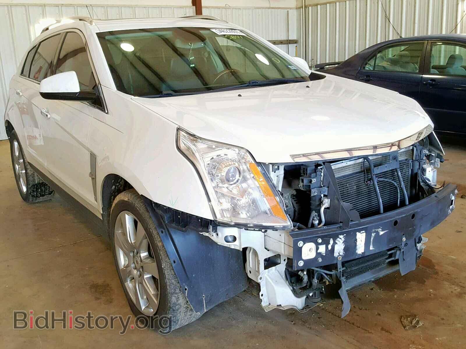 Фотография 3GYFNBEY9AS605841 - CADILLAC SRX PERFOR 2010