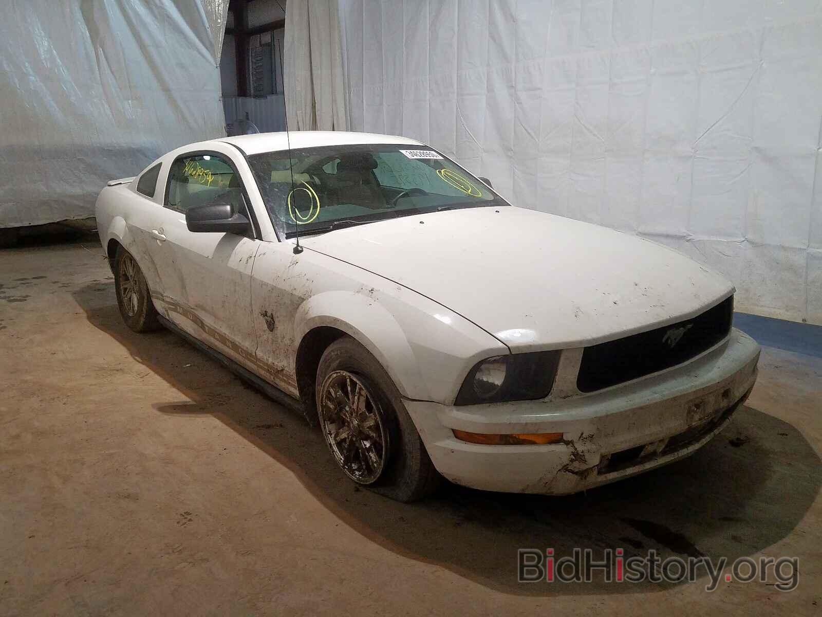 Photo 1ZVHT80N295111957 - FORD MUSTANG 2009