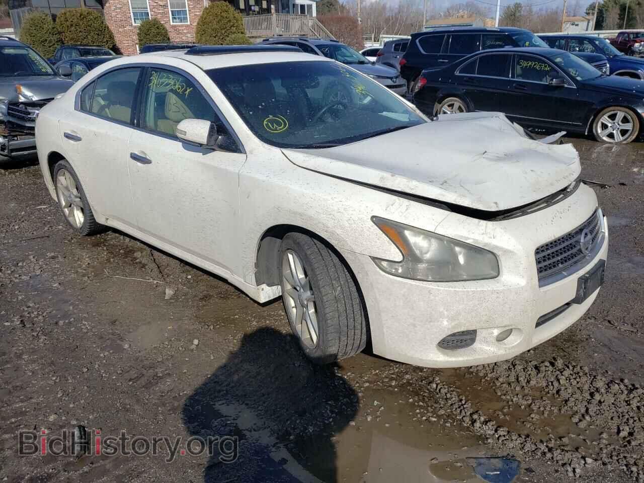 Photo 1N4AA5APXBC854964 - NISSAN MAXIMA 2011