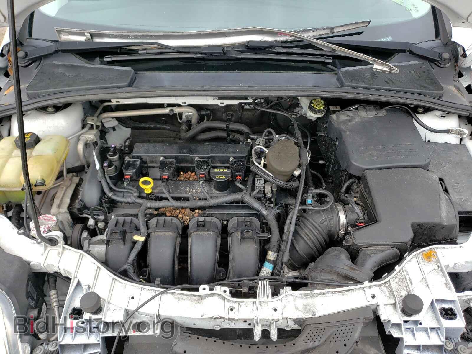 2013 FORD FOCUS - VIN: 1FADP3E21DL272558 - Фото 7