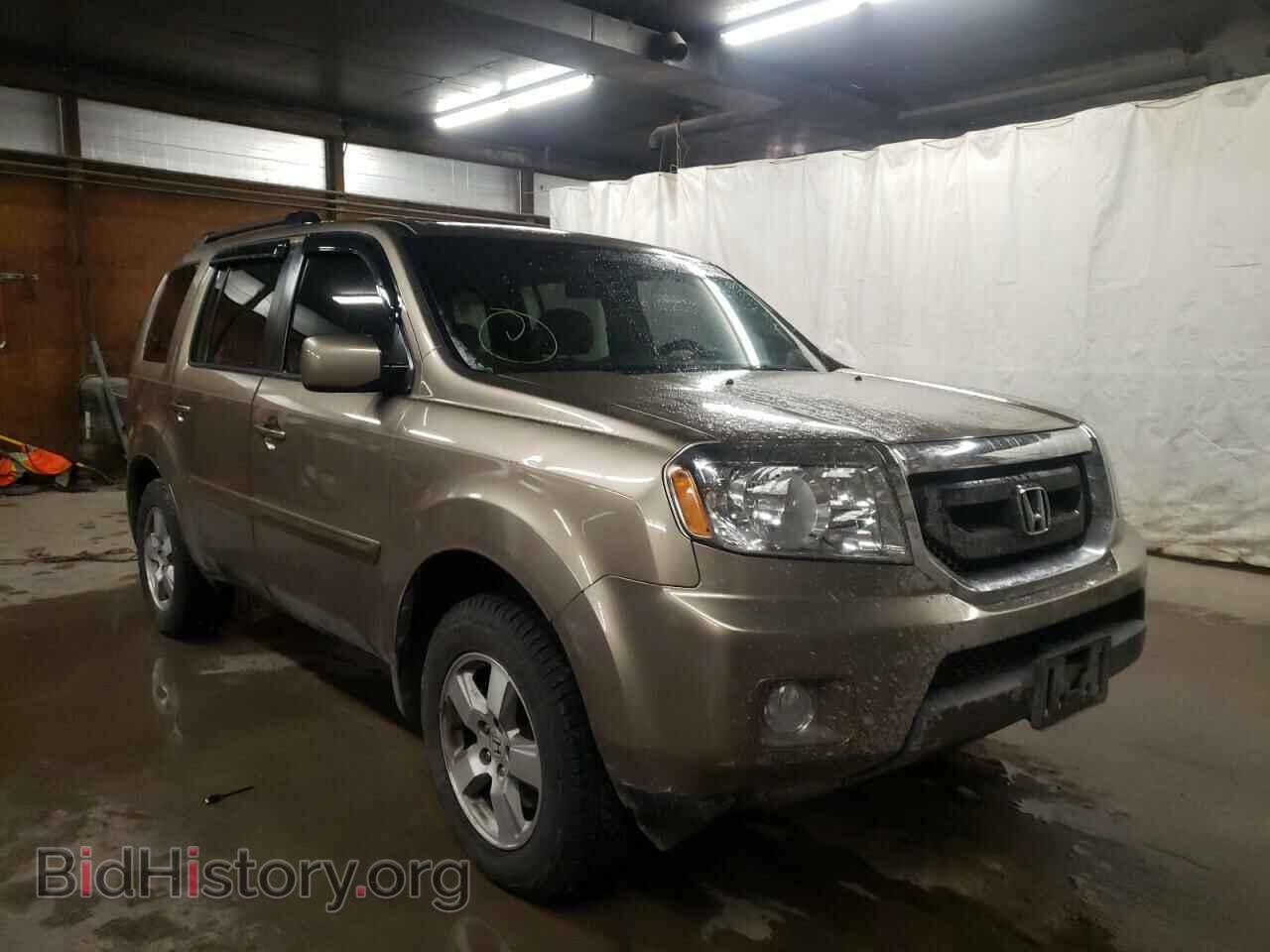 Photo 5FNYF4H69AB001801 - HONDA PILOT 2010