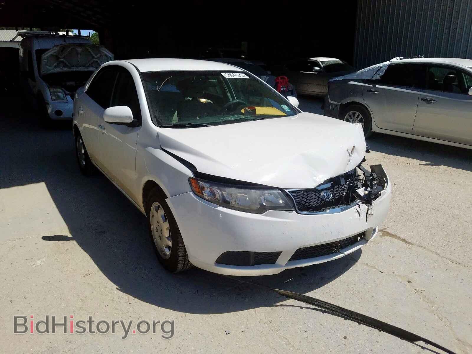 Photo KNAFT4A20D5651370 - KIA FORTE 2013