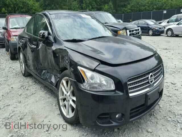 Photo 1N4AA51EX9C850244 - NISSAN MAXIMA 2009