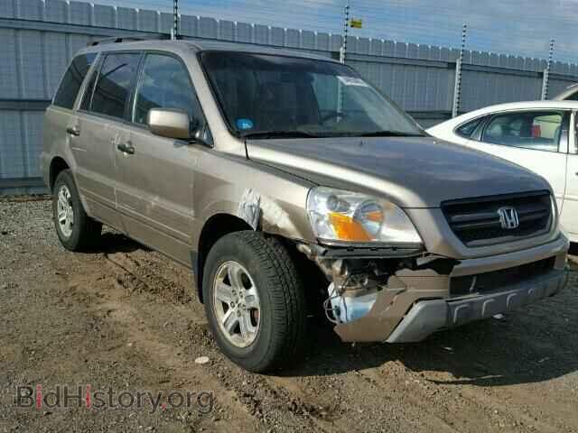 Фотография 5FNYF18675B052816 - HONDA PILOT 2005