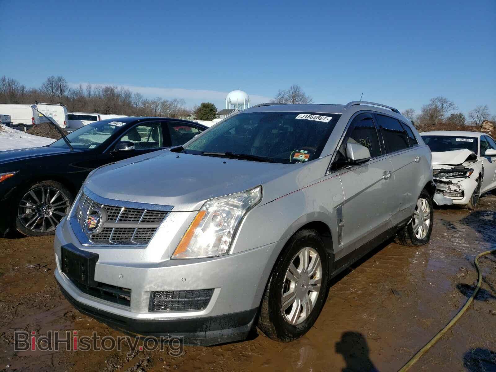 2011 CADILLAC SRX - VIN: 3GYFNAEY8BS657070 - Фото 2