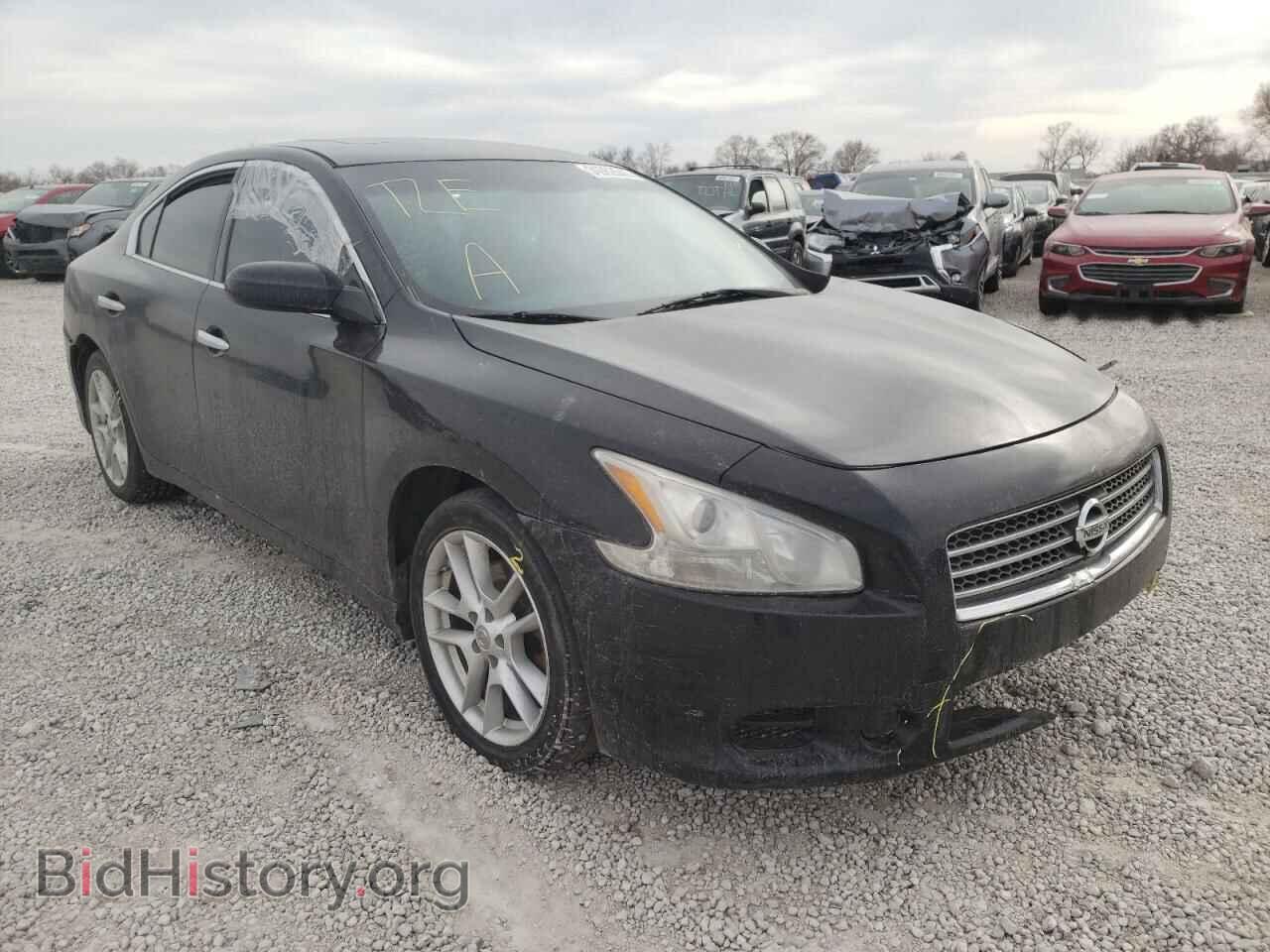 Photo 1N4AA51E59C850135 - NISSAN MAXIMA 2009
