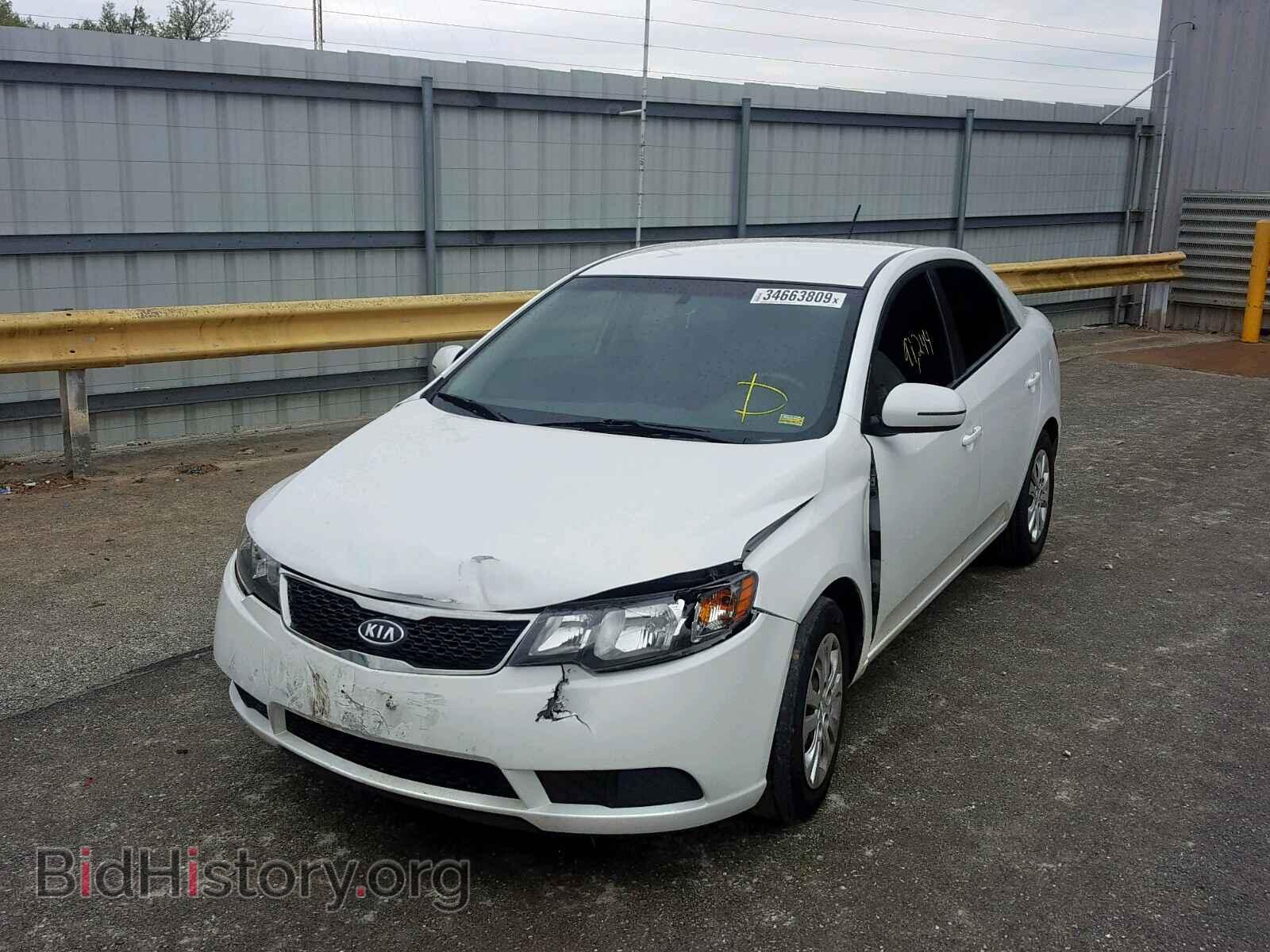 2011 KIA FORTE EX - VIN: KNAFU4A26B5395133 - Фото 2