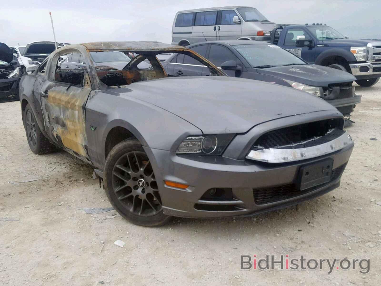 Photo 1ZVBP8AM9E5207692 - FORD MUSTANG 2014
